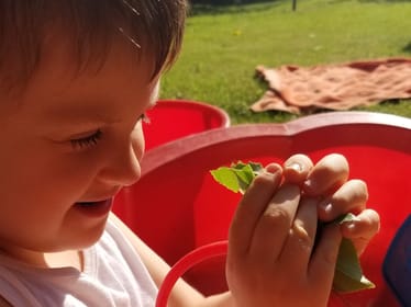 Oliwierek Barva - main photo