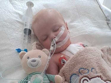 Franuś Musik - zdjęcie główne