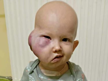 Marcelinka Fijołek - zdjęcie główne