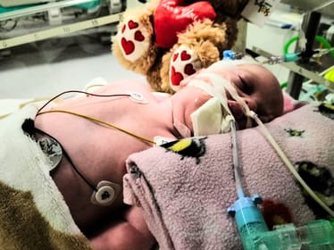 Gabriela Bieszk - zdjęcie główne