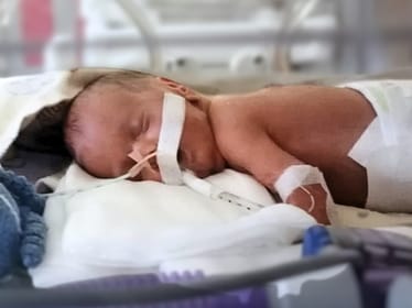 Nikodem Wesoły - zdjęcie główne