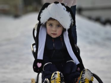 Korneliusz Wilkos - main photo