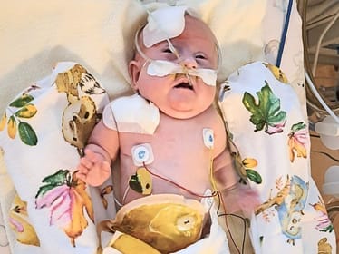 Antosia Nawrocka - zdjęcie główne