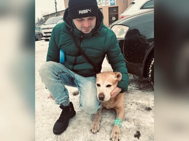 Piotr Stępień - main photo