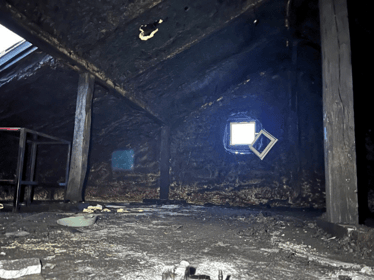 Renata Szota - main photo