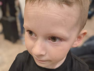 Oliś Garnys - main photo