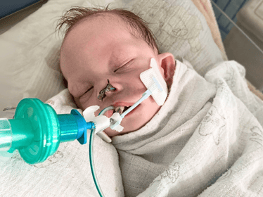 Zosia Małkiewicz - zdjęcie główne