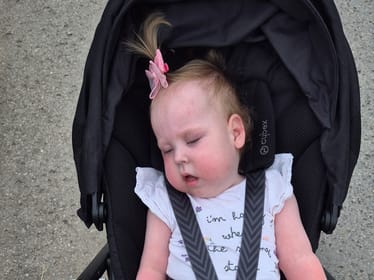 Pola Sekuła - zdjęcie główne