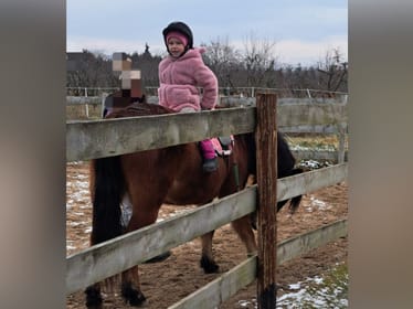 Aleksandra Chrabałowska - main photo