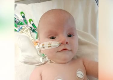 Anastazja Dąbrowska - main photo