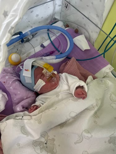 Wanda Wolicka - main photo