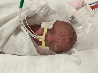 Laura Cyran - zdjęcie główne