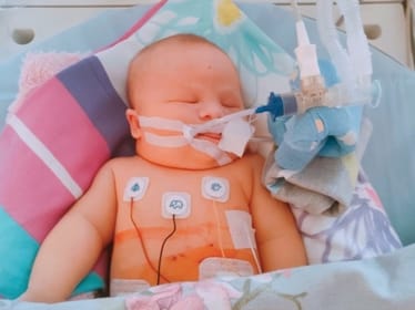 Maja Hus - zdjęcie główne