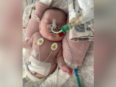 Laura Staruzik - main photo