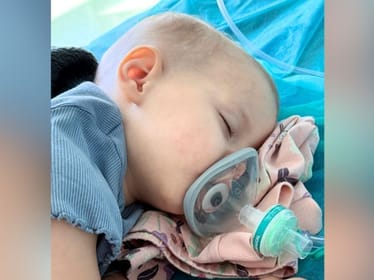 Róża Jastrząb - zdjęcie główne