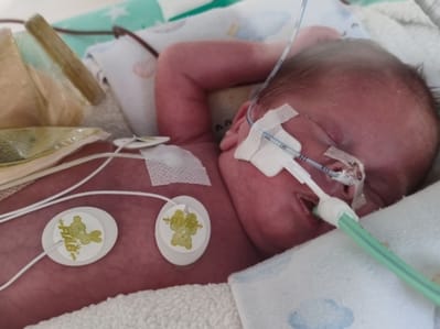 Maksiu Wągrodzki - zdjęcie główne