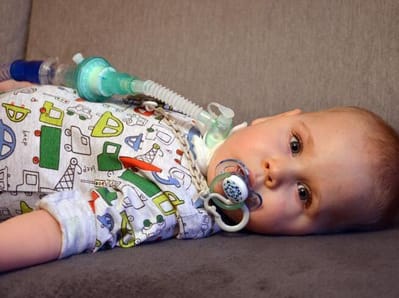 Wojciech Howis - main photo