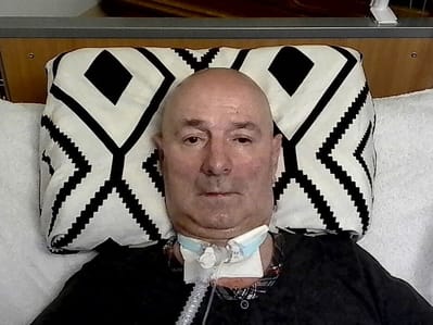 Wierzba Paweł - zdjęcie główne