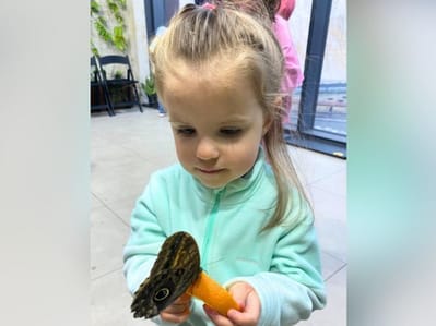 Faustynka Mączyńska - zdjęcie główne