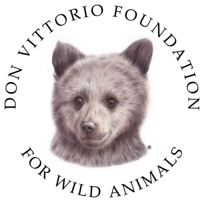 Don Vittorio Foundation for Wild Animals - main photo
