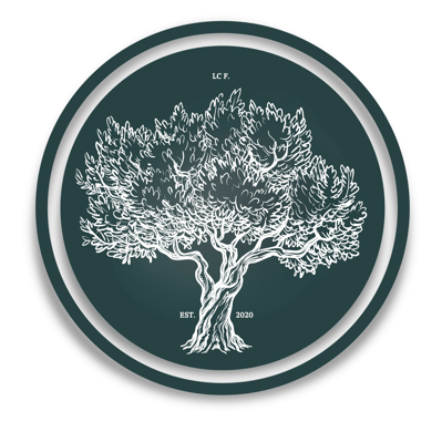 LC Foundation - zdjęcie główne