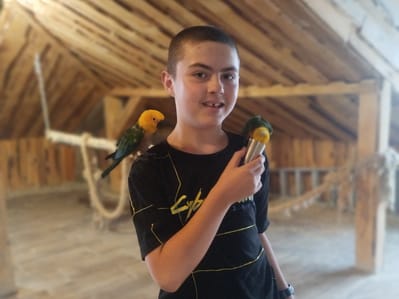 Dominik Janulewicz - main photo