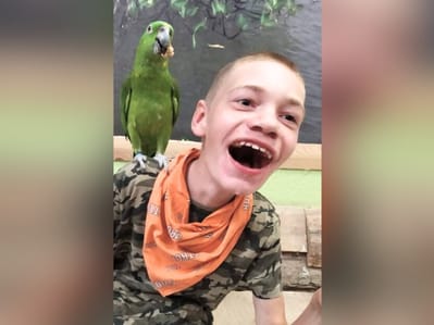 Maksym Szostek - zdjęcie główne