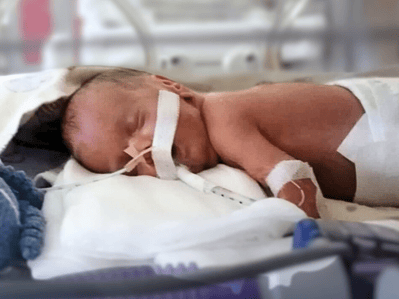 Nikodem Wesoły - zdjęcie główne