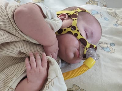 Janek Budnicki - main photo