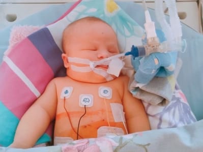 Maja Hus - main photo