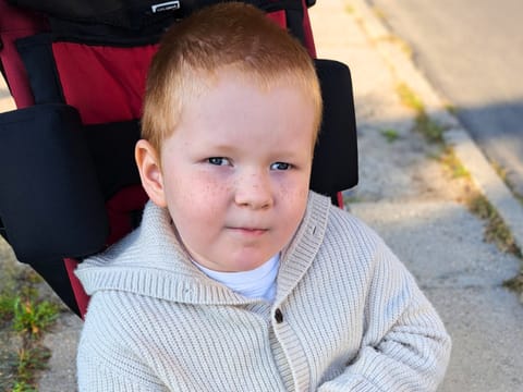 Antoni - main photo