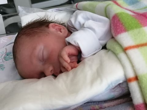 Milenka - main photo