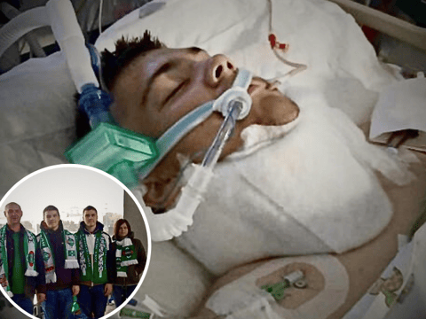 Robert, Marzena i Kacper Czapczyńscy - main photo