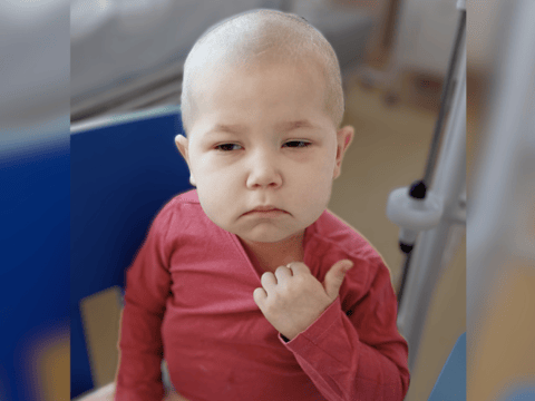 Kornelia Sakwa - main photo