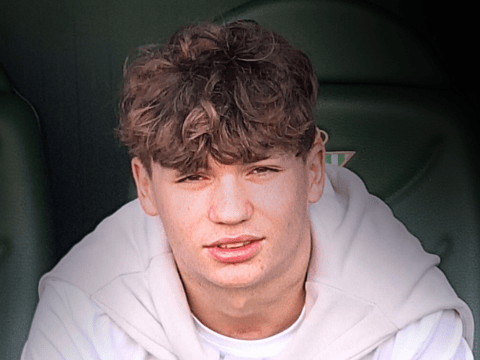 Alexander - main photo