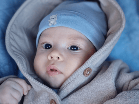 Aleksander - main photo