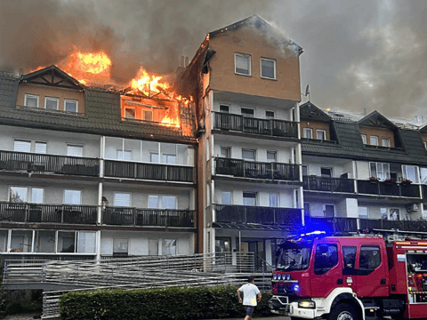 Edyta Kurkiewicz - main photo