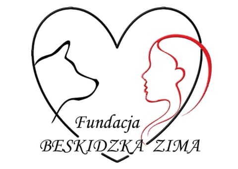 Fundacja Beskidzka Zima - logo organizacji