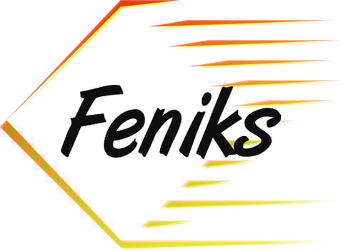 Fundacja Na Rzecz Osób Niepełnosprawnych Feniks w Wałbrzychu - logo organizacji