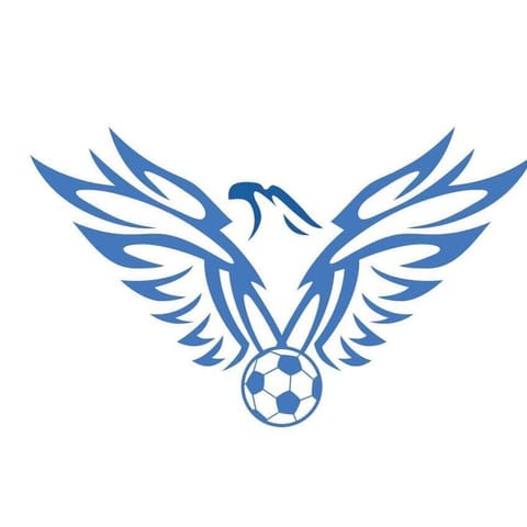 Fundacja Marka Sokołowskiego Sokoły Podbeskidzia - Organization logo