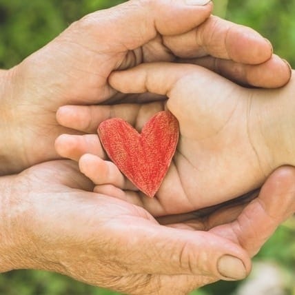 Fundacja Nova Cogito - logo organizacji