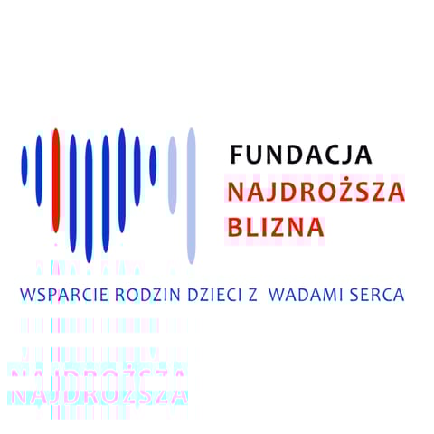 Fundacja Najdroższa Blizna - logo organizacji