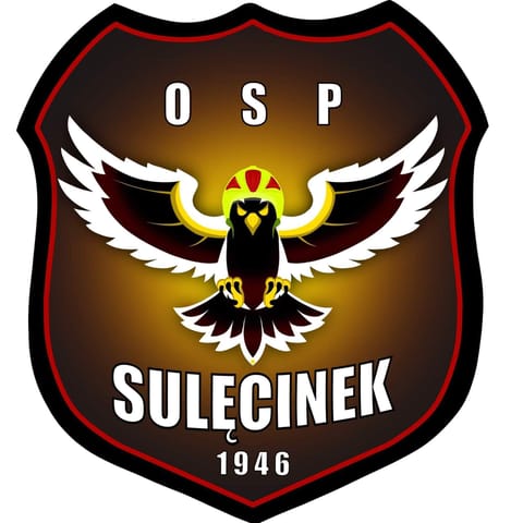 Ochotnicza Straż Pożarna w Sulęcinku - Organization logo