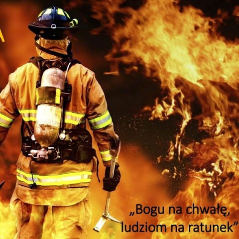 OCHOTNICZA STRAŻ POŻARNA W NAMYŚLINIE - Organization logo