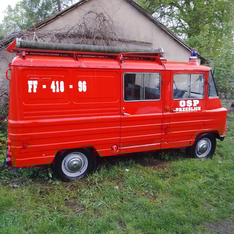 OSP Prześlice - Organization logo