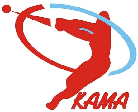 Fundacja Kamili Skolimowskiej - logo organizacji