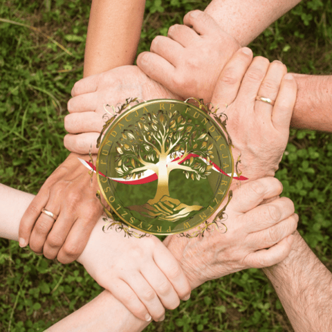 Fundacja Razem w Przyszłość Fundacja RP - Organization logo