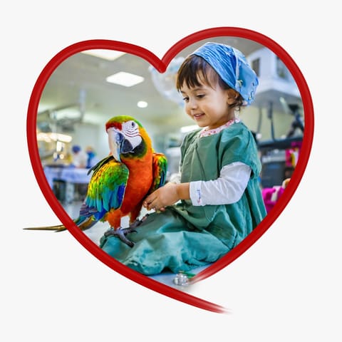 Fundacja Skrzydlaty Raj - Organization logo