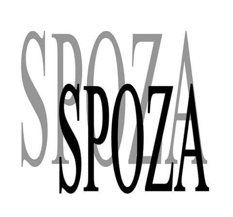 Stowarzyszenie SPOZA - Organization logo