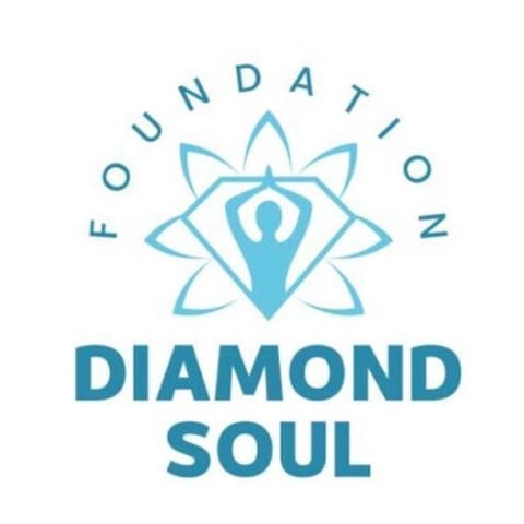 Dimond Soul Foundation - Organization logo